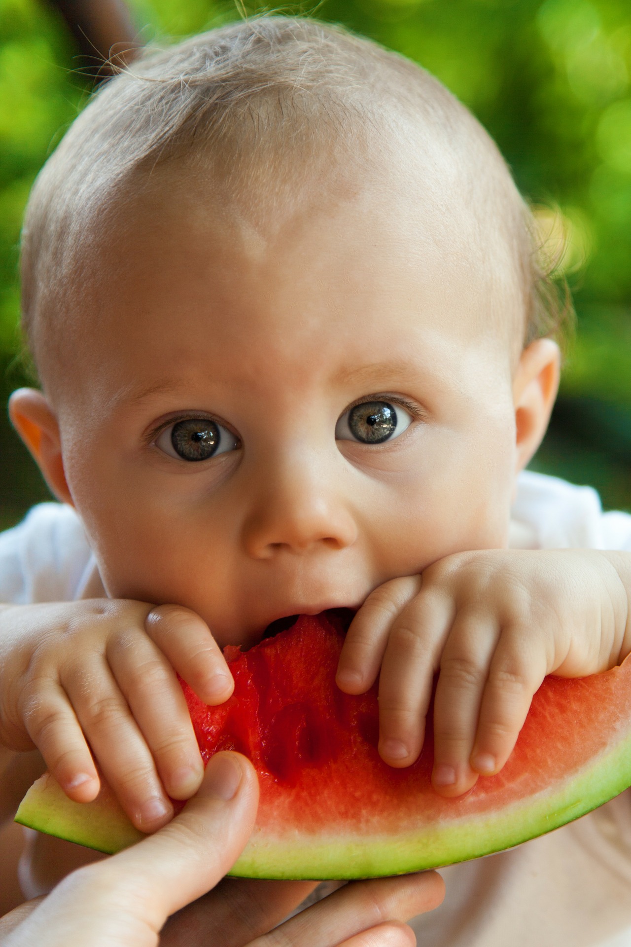 Healthy Baby food 