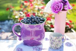 11 Health Benefits of Blueberries