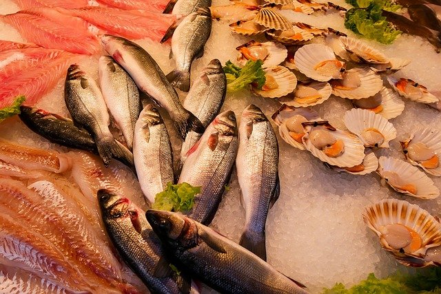 Top 10 Healthy Fish to Eat for Your Health