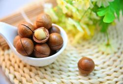 The Benefits of Macadamia Nuts for Your Health