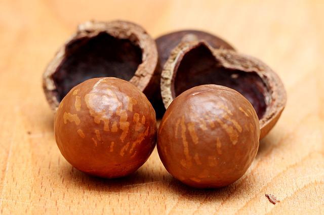 The Benefits of Macadamia Nuts for Your Health