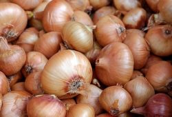 Top 10 Major Health Benefits of Onions