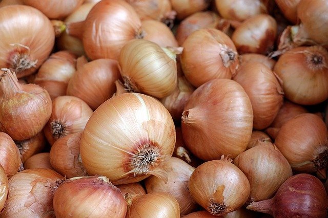 Top 10 Major Health Benefits of Onions