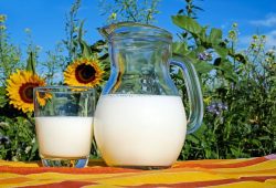 The Benefits of Drinking Whole Milk Everyday