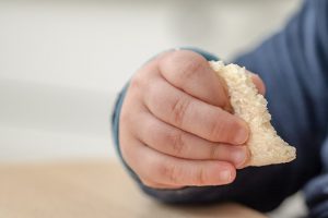 Best Organic Baby Foods,