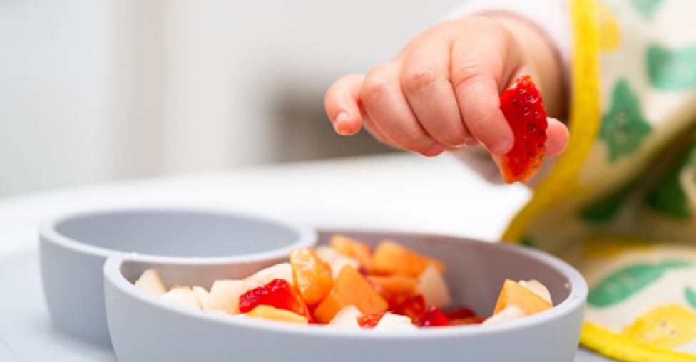 Finger foods for 8 month old