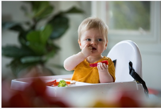 Finger foods for 8 month old