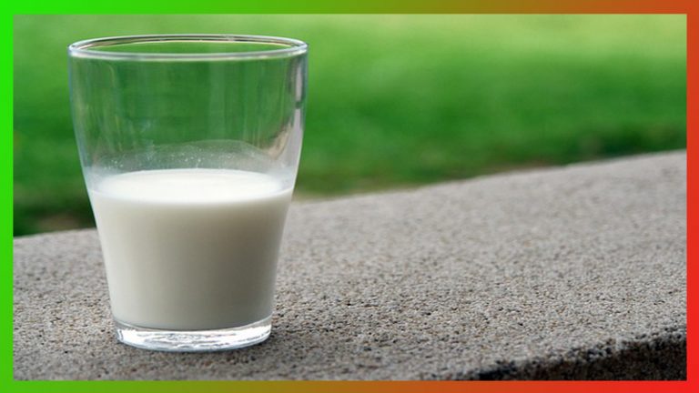 goat-milk-formula-for-babies-us-it-bari-healthy-foods