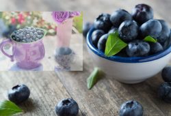 Blueberries baby food benefits