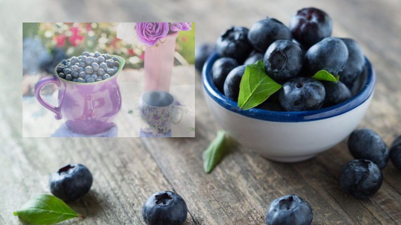 Blueberries baby food benefits