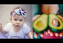 Can i steam avocado for baby food 2023