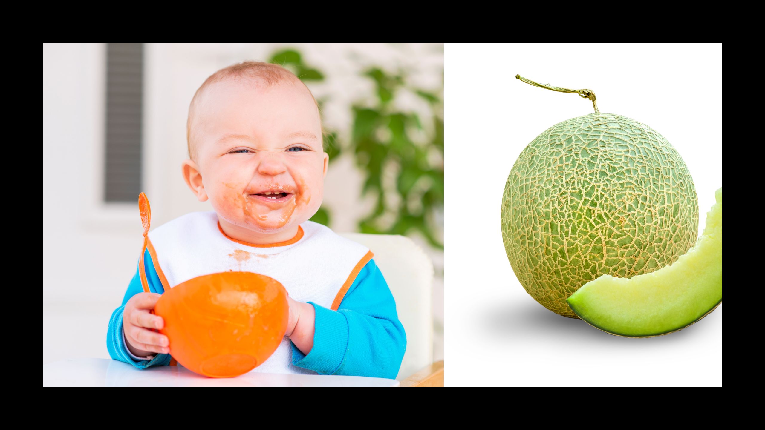 Honeydew melon for babies