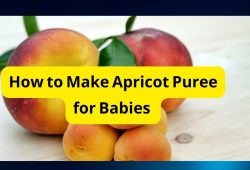 How to Make Apricot Puree for Babies