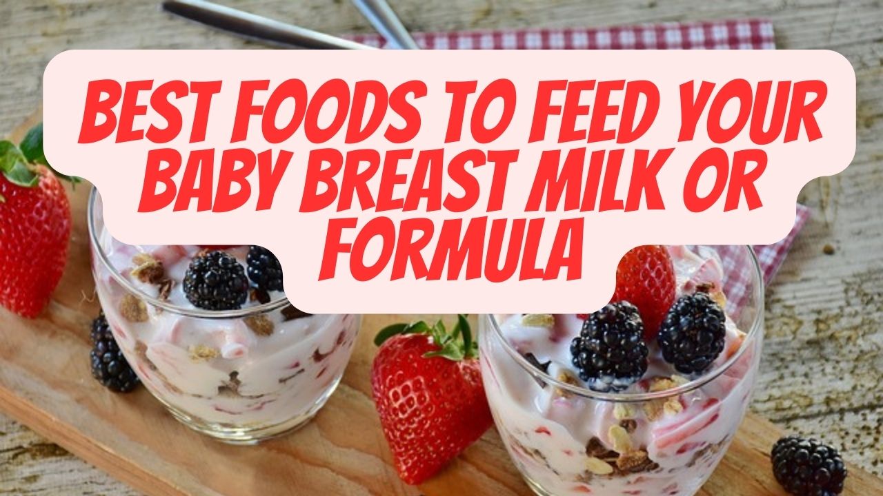 Best Foods to Feed Your Baby Breast Milk or Formula