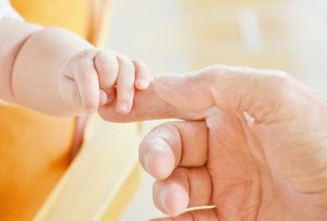 Best Organic Baby Food Brands of 2023