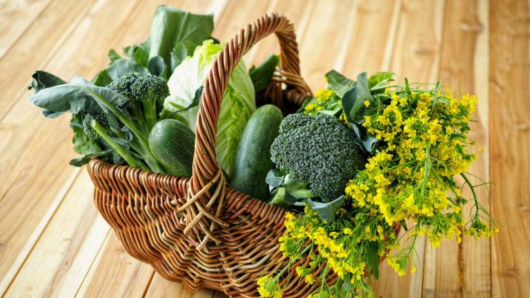 Which Leafy Greens Are the Healthiest