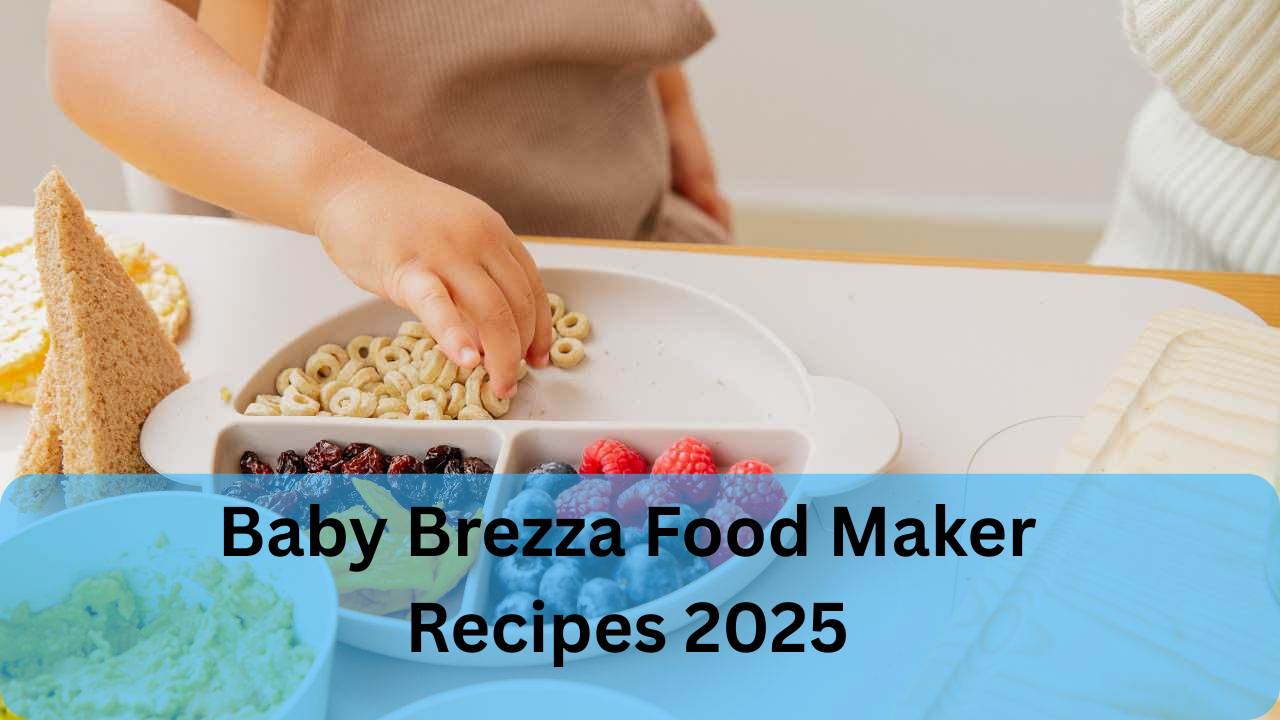 Baby Brezza Food Maker Recipes 2025