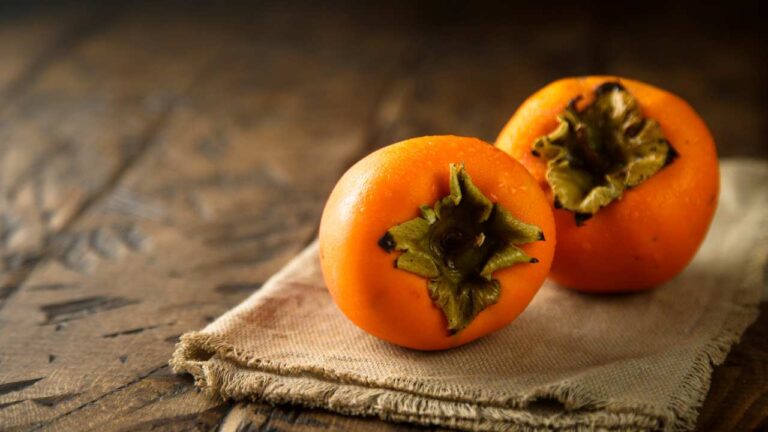 Persimmon Fruit in Winter