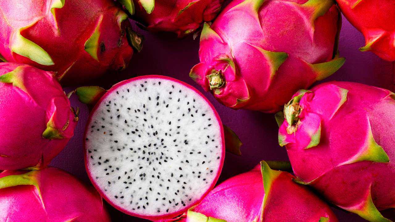 dragon fruit 