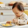 Apple Baby Food