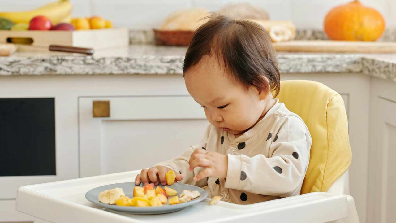 Apple Baby Food