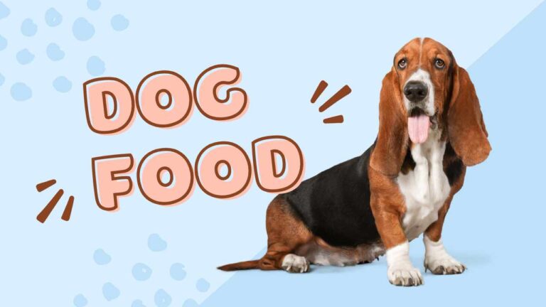 Dog Food