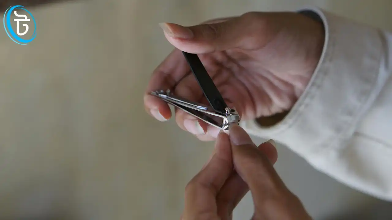 নখ কাটলে কি অজু ভেঙে যায়?