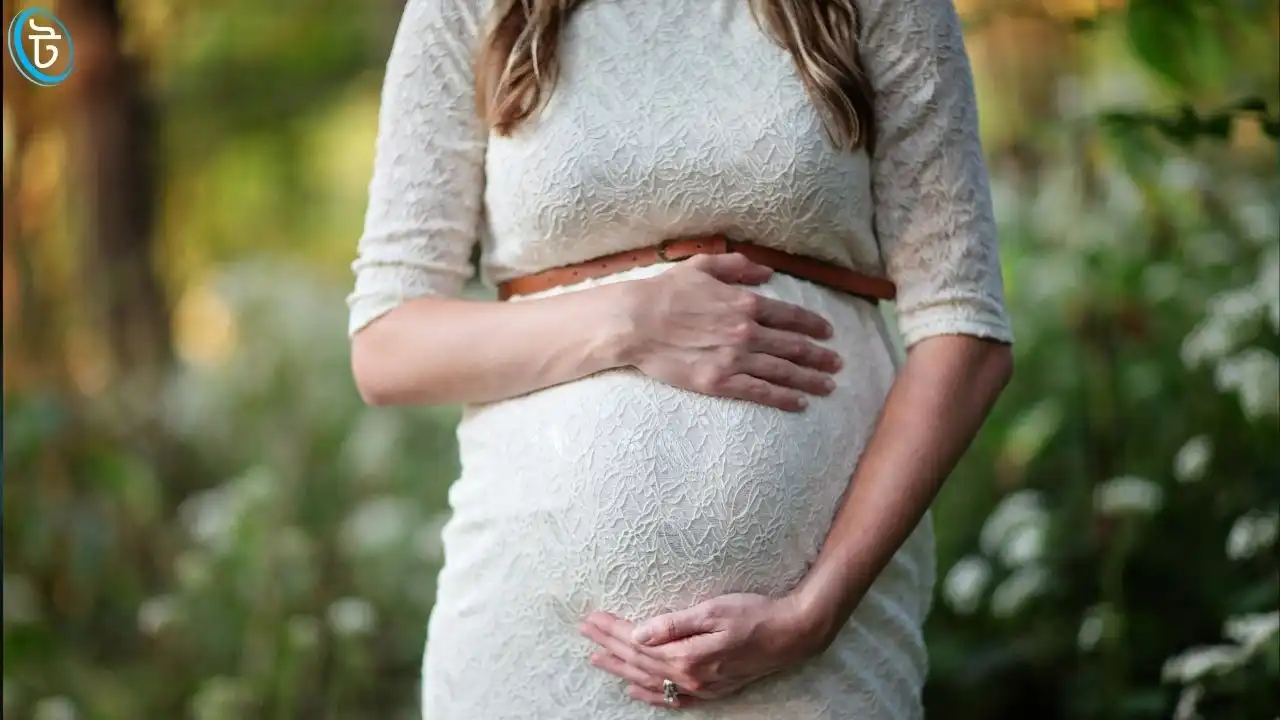 সরকারি গর্ভবতী ভাতা অনলাইন আবেদন